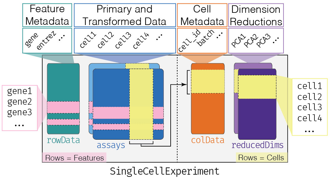 SCE schematic